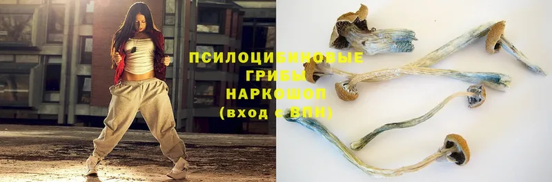 Галлюциногенные грибы Psilocybine cubensis  MEGA tor  Коряжма 